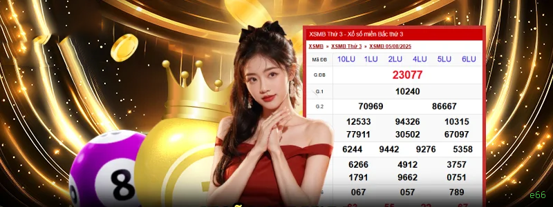 Programa VIP e66 - benefícios exclusivos